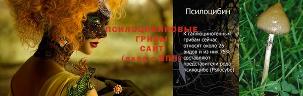 соль ск Арсеньев
