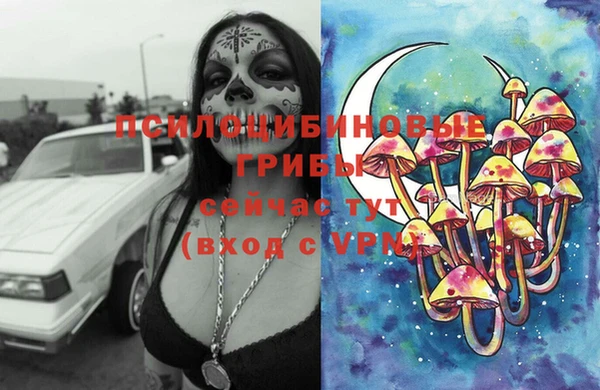 соль ск Арсеньев