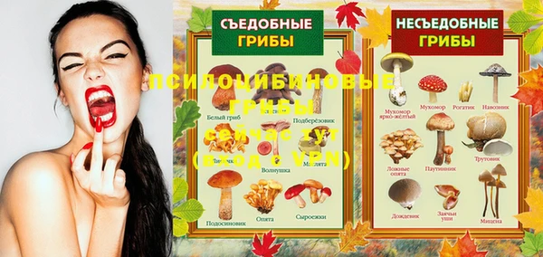 бошки Алексеевка
