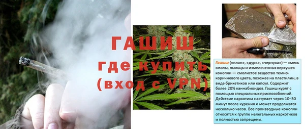 стафф Протвино