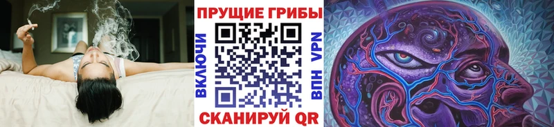 Псилоцибиновые грибы MAGIC MUSHROOMS  наркошоп  Талица 